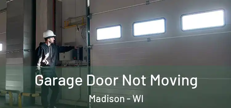  Garage Door Not Moving Madison - WI