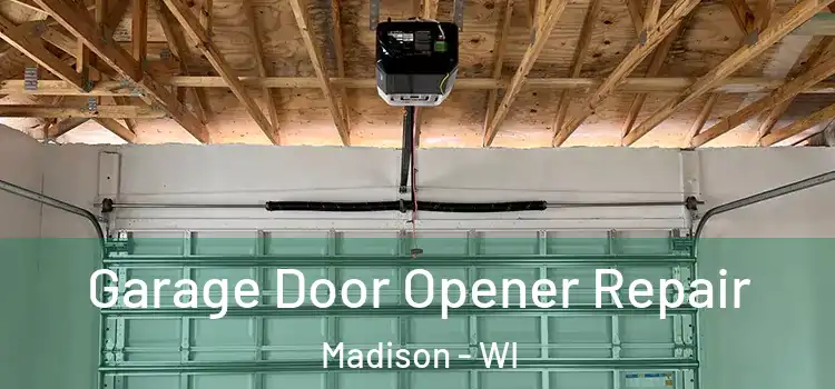  Garage Door Opener Repair Madison - WI