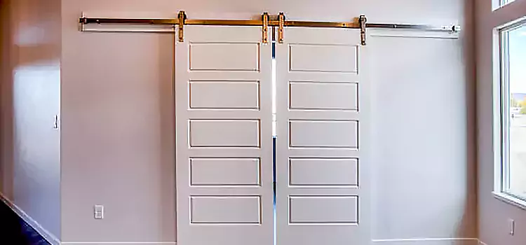 Glass Barn Door with Installation Hardware Kit Madison