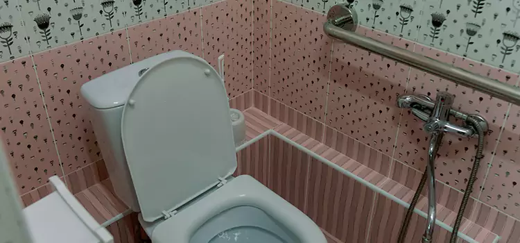 Meeting Diverse Needs With Accessible Restroom Solutions in Madison, WI