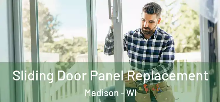  Sliding Door Panel Replacement Madison - WI